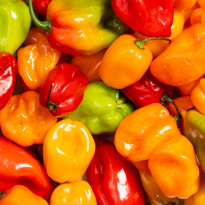 35581 SL Spcy MngHbnrJck Ecomm 3pk1 v2