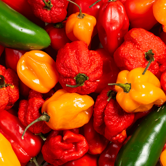 35888 SL Spcy CrlnRprJck Ecomm 3pk1